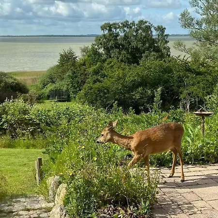 Swedish Timber House Overlooking Arreso Dom wakacyjny *